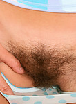 atk hairy
