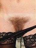 ATK Hairy Aden Rose