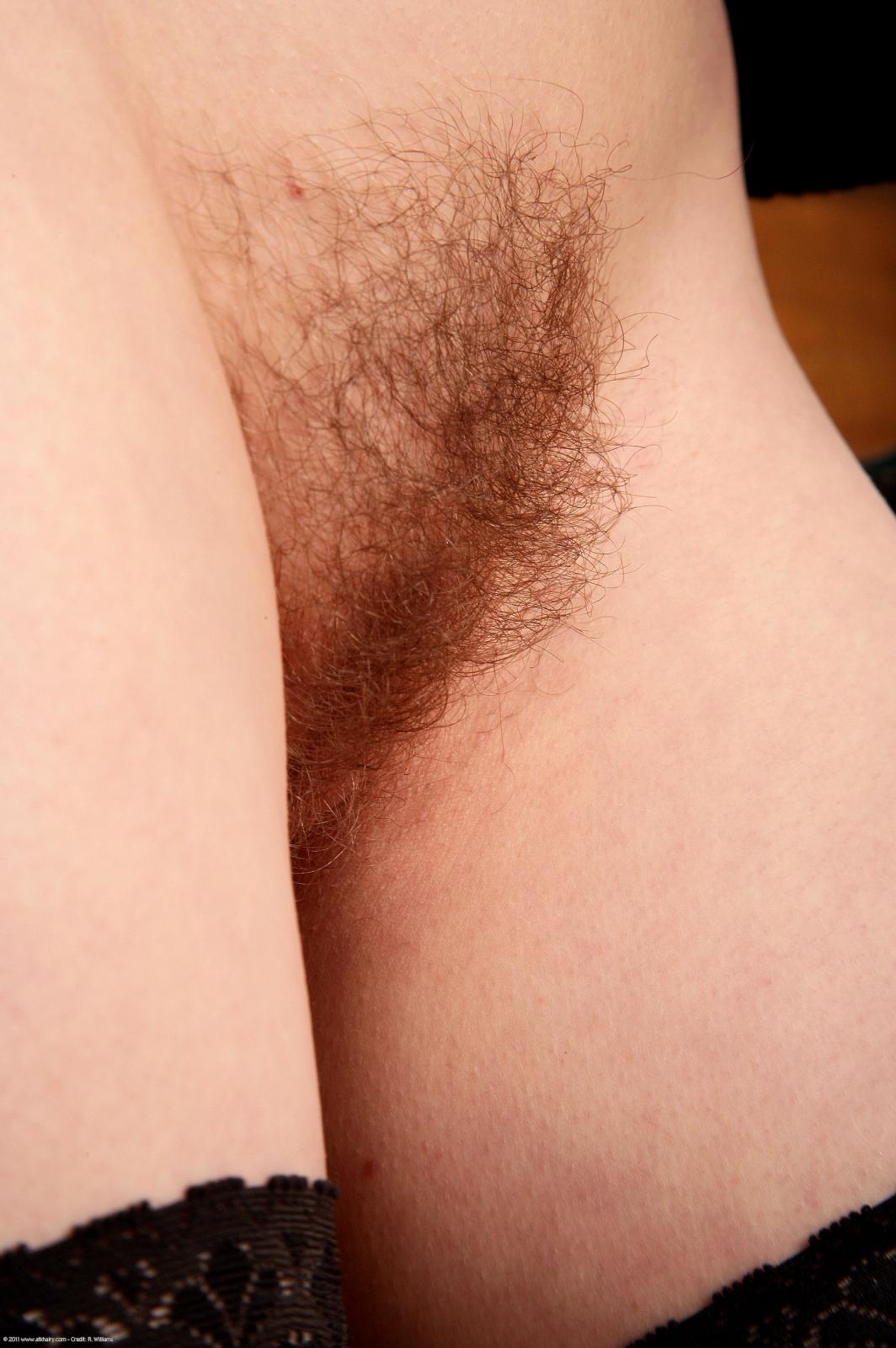 Click here for next image