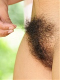 ATK Hairy Ambar