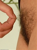 Hairy Girl Ansi