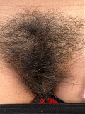 Exotic Hairy Avery