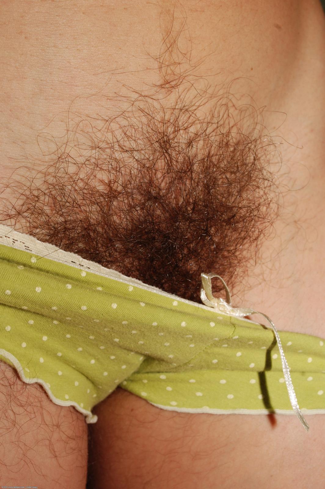 Click here for next image