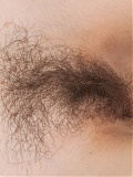 Hairy Destine