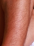 ATK Hairy Jessie Belle