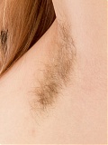 Hairy Linden