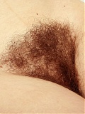 Hairy Nessa