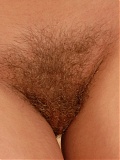 Hairy Nikol