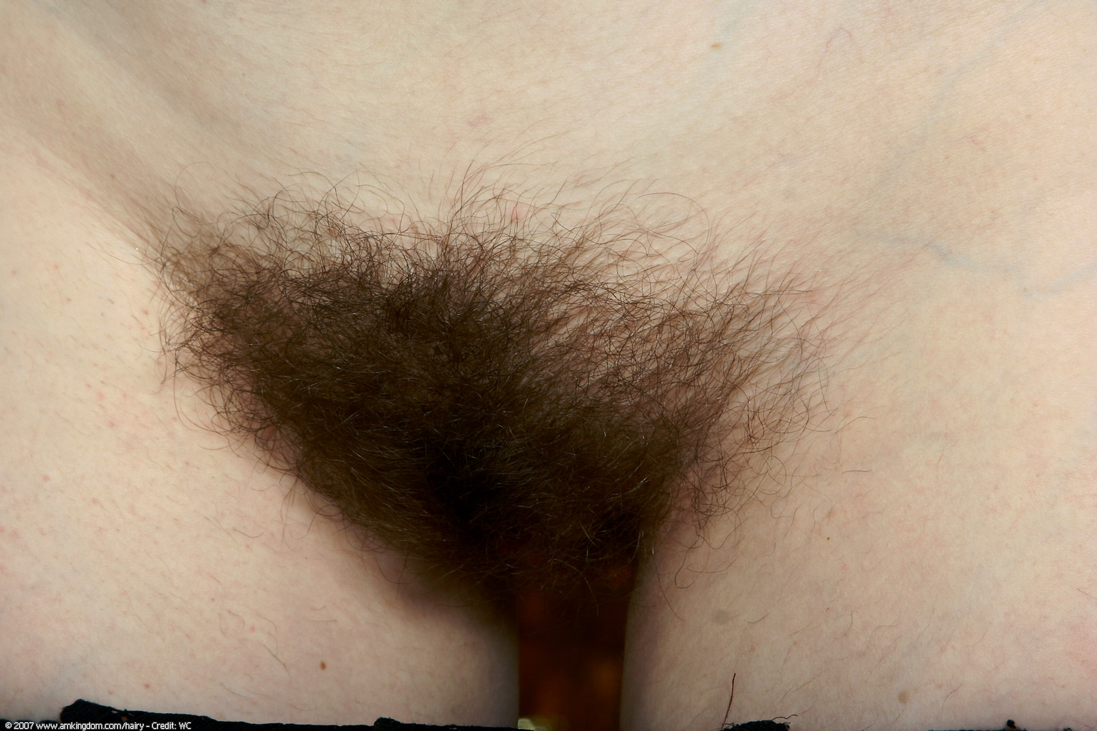 Click here for next image