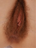 Hairy Ricka