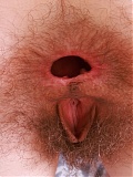 Hairy Girl Sia Wood