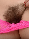 Hairy Pussy