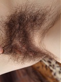 Hairy Slaviana